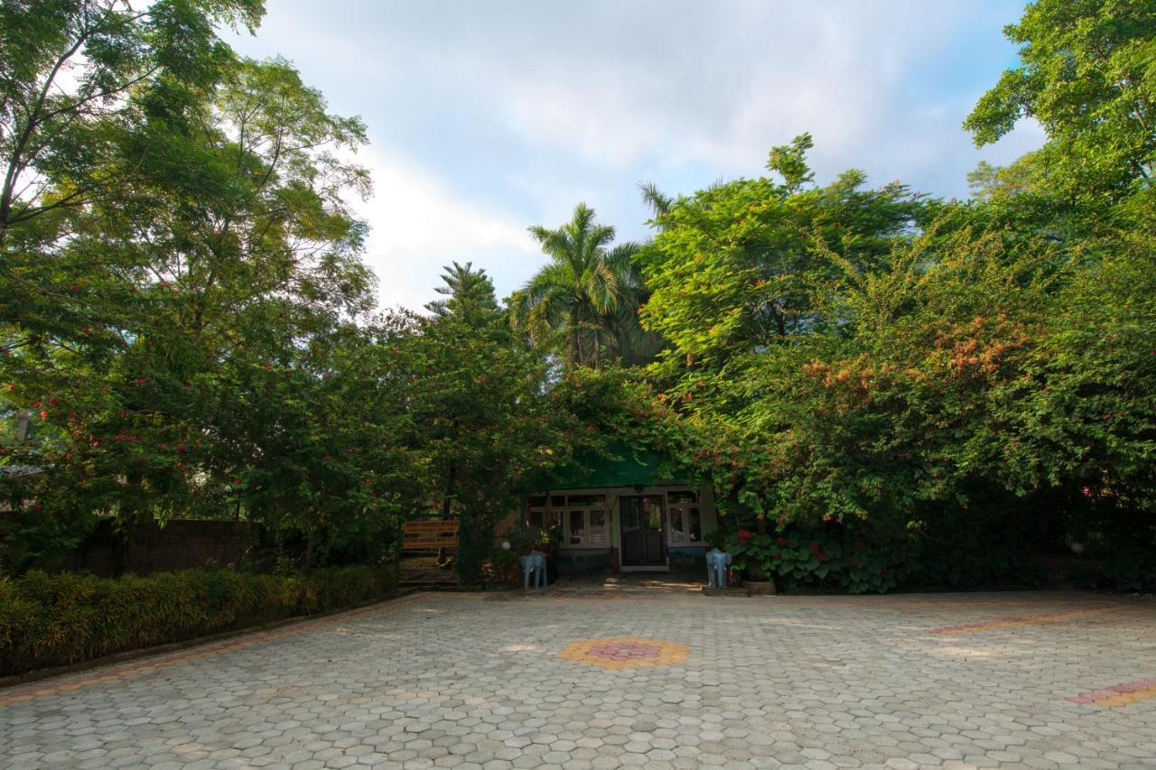 Chitwan Paradise Hotel Sauraha Dış mekan fotoğraf