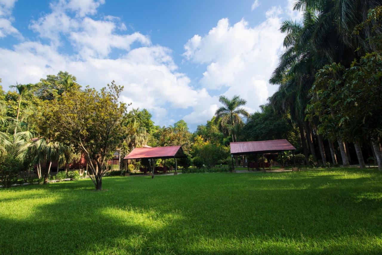 Chitwan Paradise Hotel Sauraha Dış mekan fotoğraf
