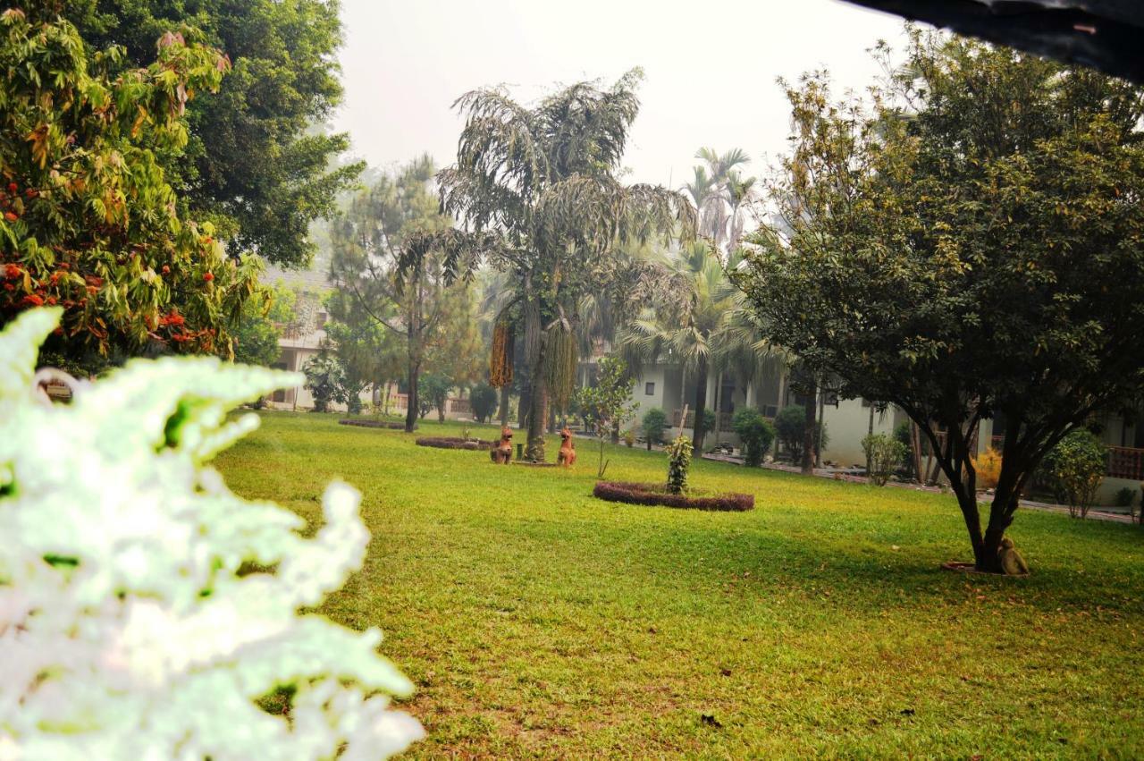 Chitwan Paradise Hotel Sauraha Dış mekan fotoğraf