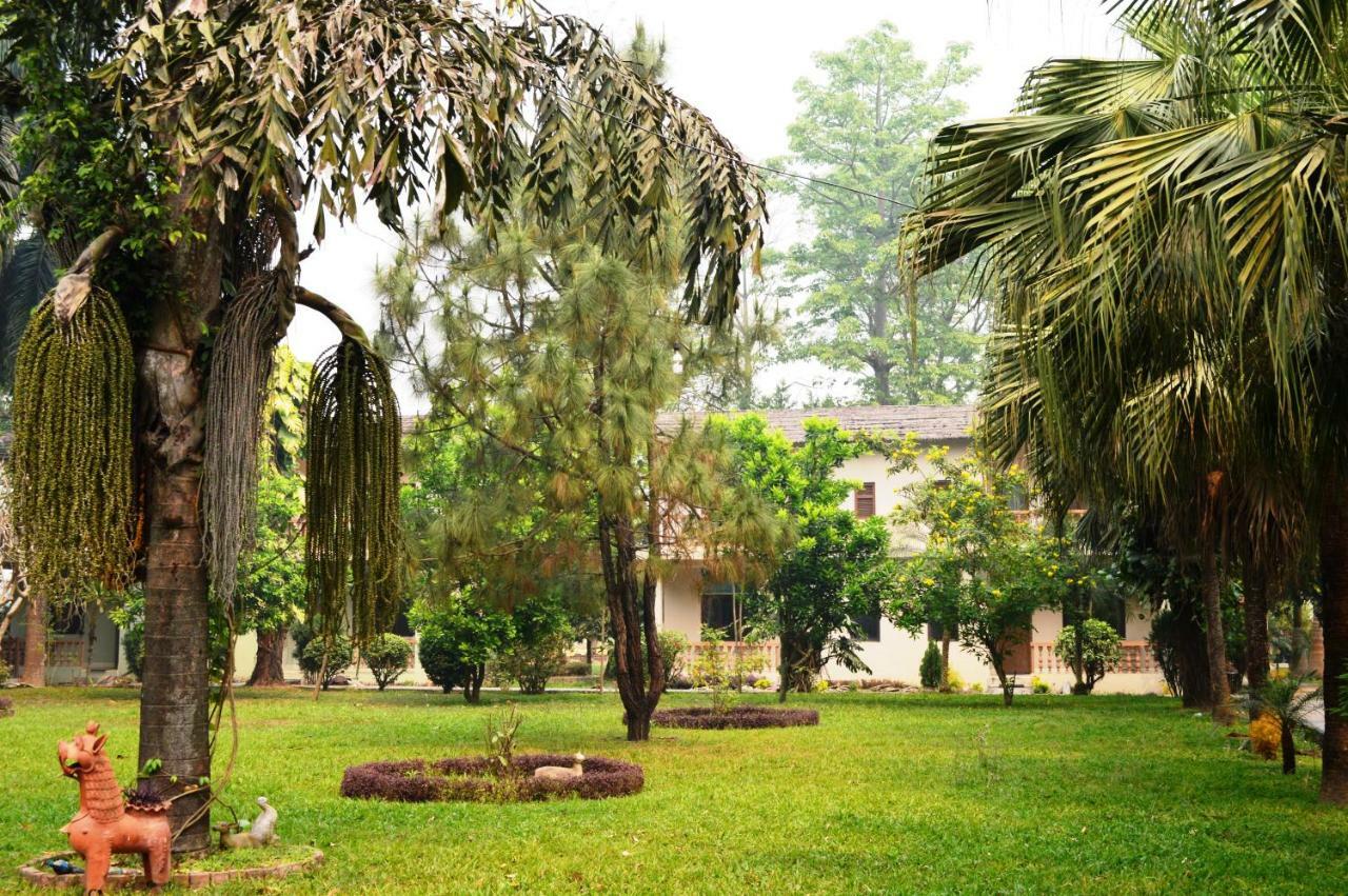 Chitwan Paradise Hotel Sauraha Dış mekan fotoğraf