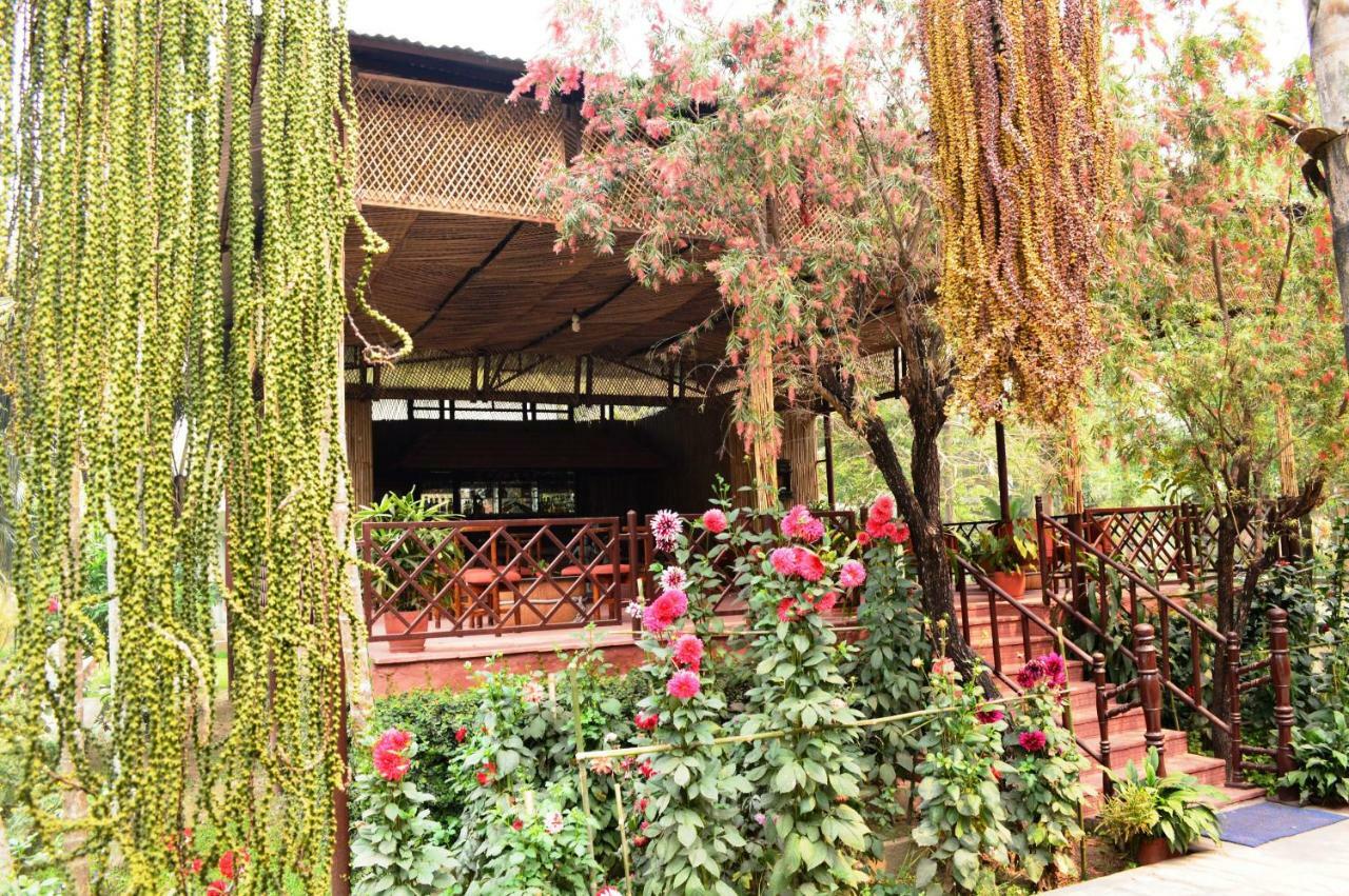 Chitwan Paradise Hotel Sauraha Dış mekan fotoğraf