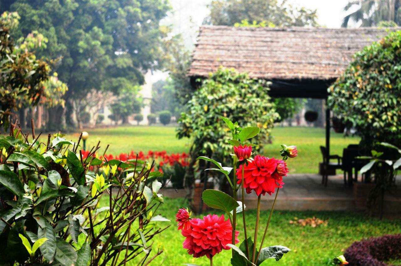 Chitwan Paradise Hotel Sauraha Dış mekan fotoğraf