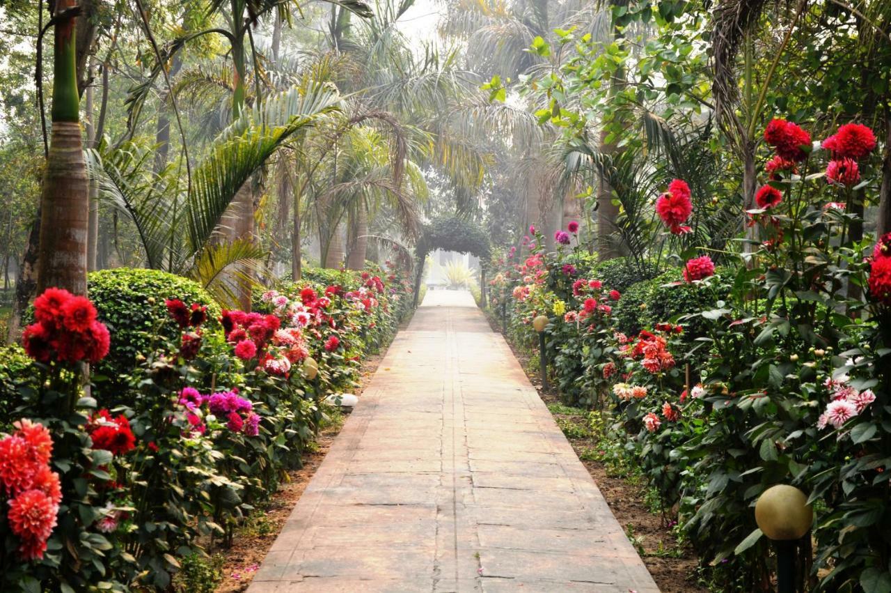 Chitwan Paradise Hotel Sauraha Dış mekan fotoğraf
