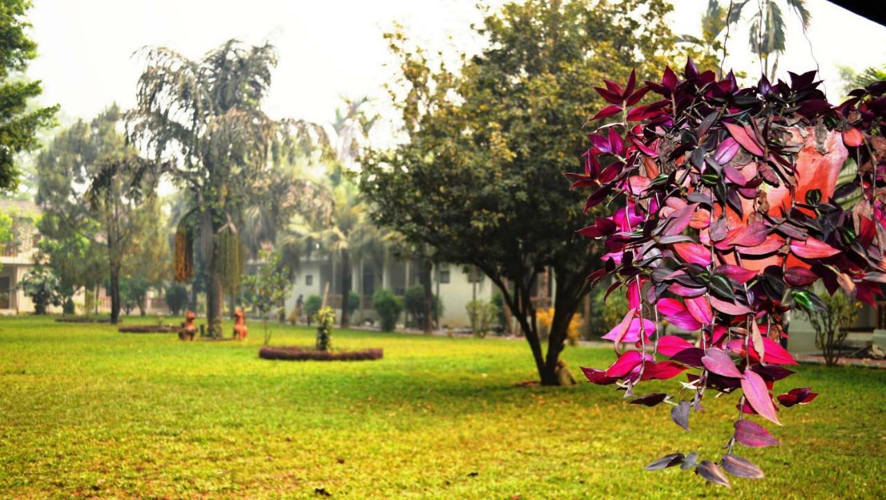 Chitwan Paradise Hotel Sauraha Dış mekan fotoğraf