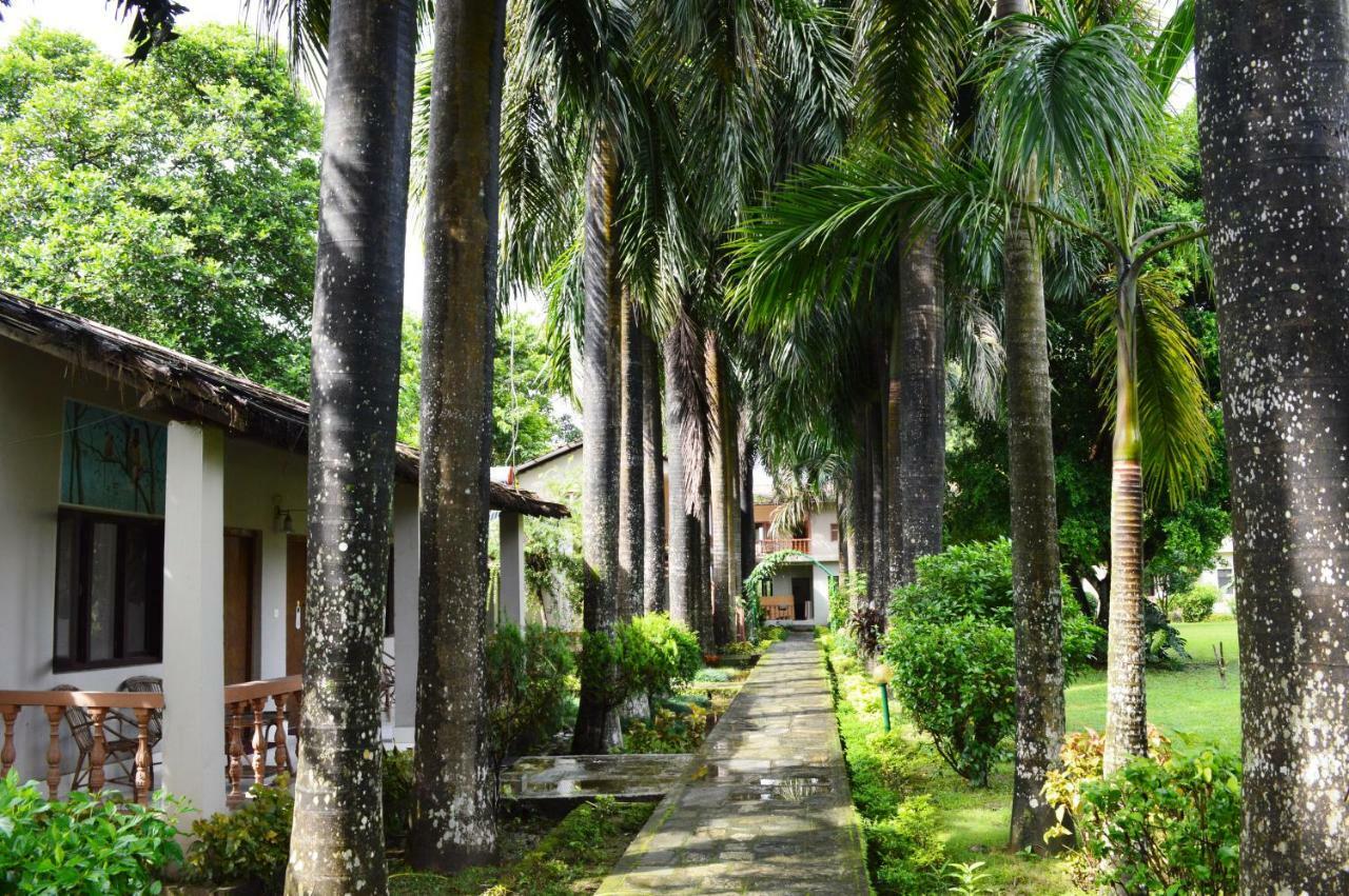 Chitwan Paradise Hotel Sauraha Dış mekan fotoğraf